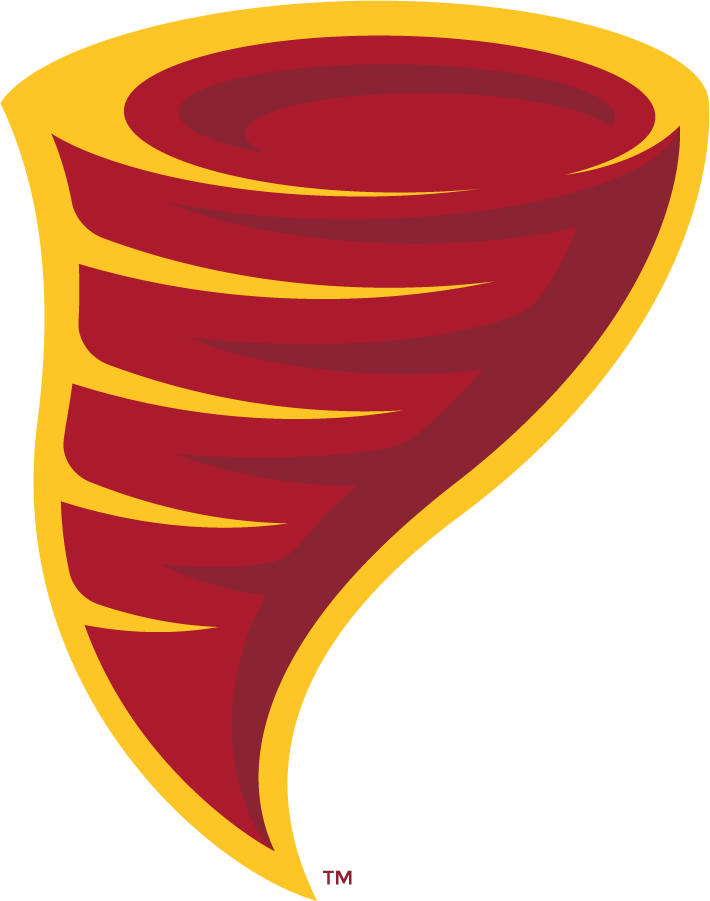 Iowa State Cyclones 2017-Pres Secondary Logo diy iron on heat transfer
